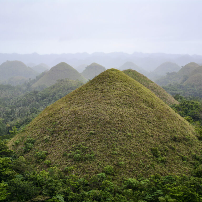 Tarsier Conservation Area (Bohol, Philippines) | Choose Your Adventure