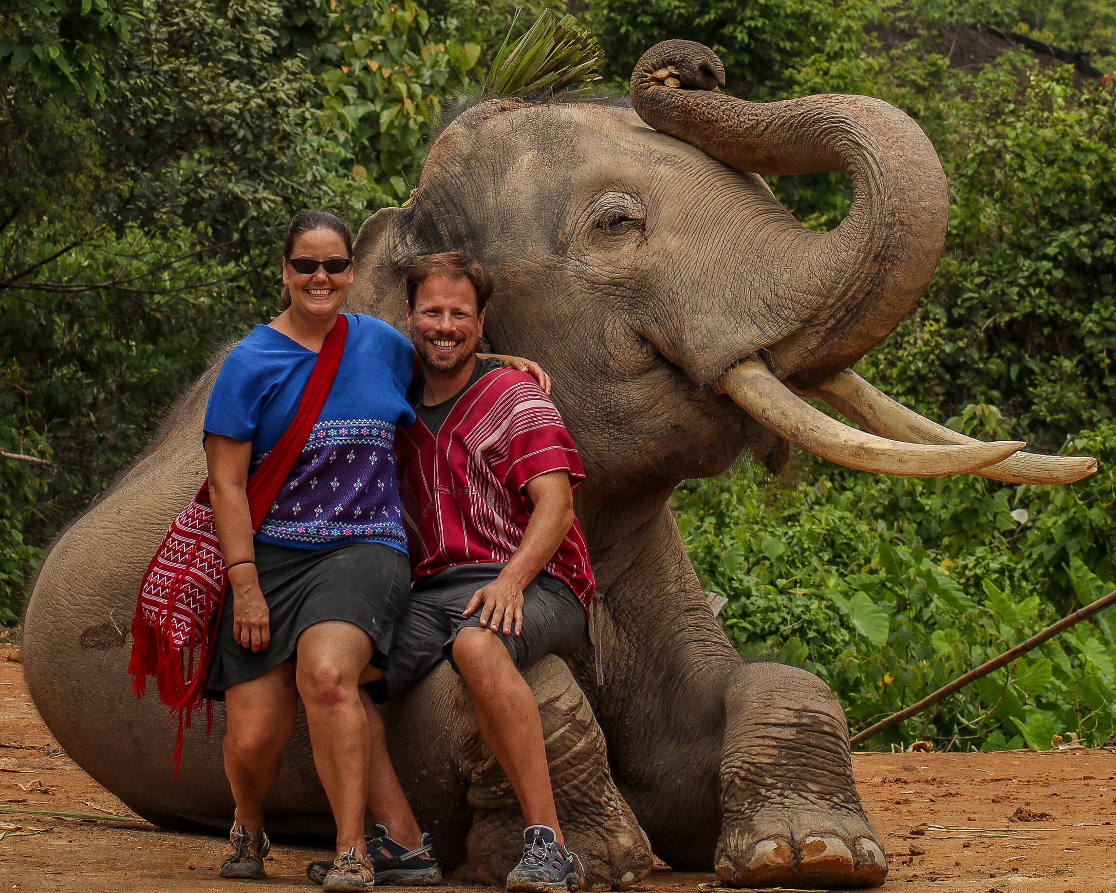 big elephant - Picture of Karen's Tribe Native Elephants, Chiang Mai -  Tripadvisor